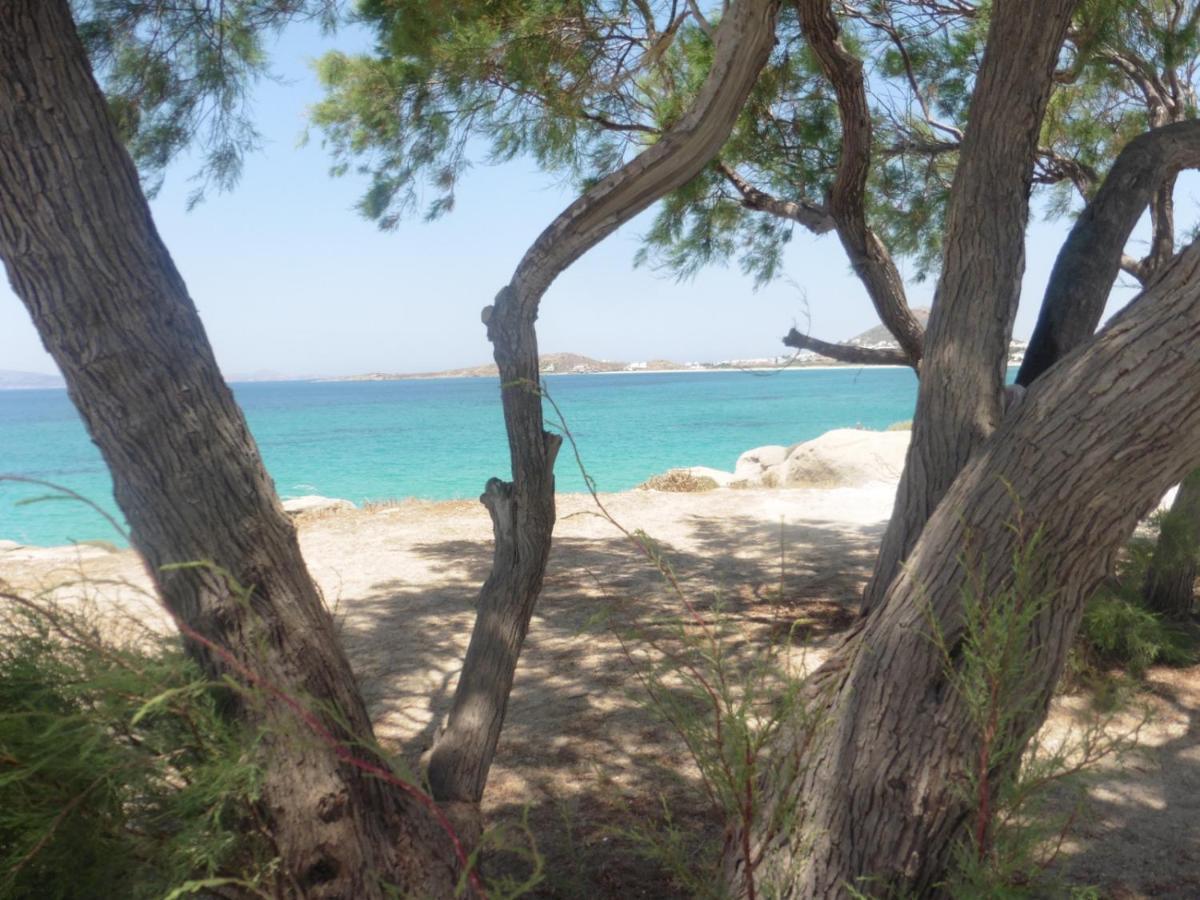 Villa Stou Chiou Agia Anna  Екстериор снимка